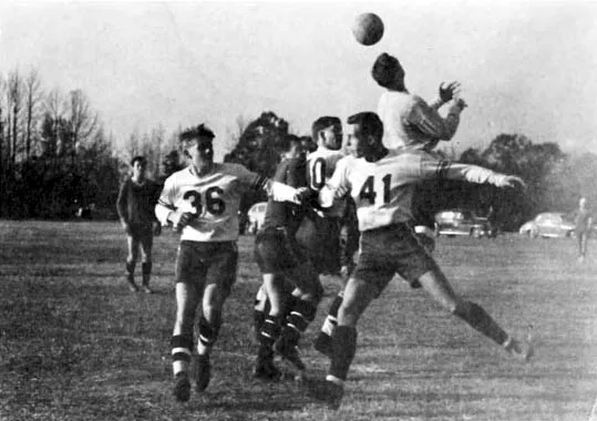 28圈 · sports_media 3
